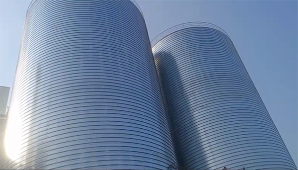 博厚镇2座混凝土高架卷板仓